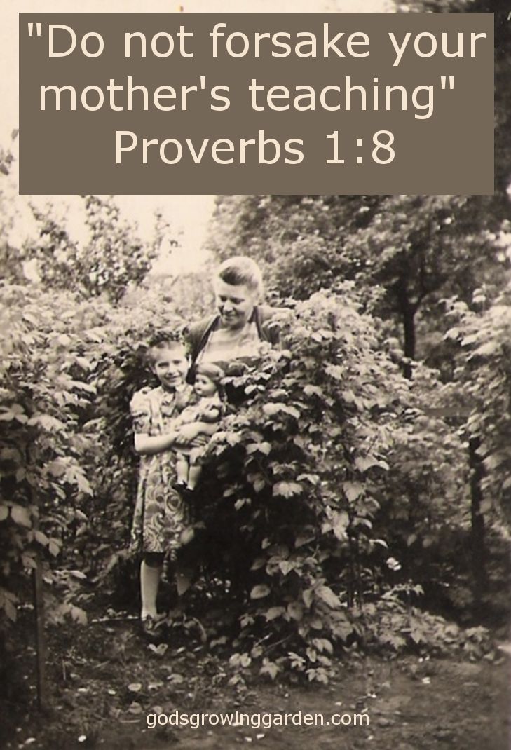 by Angie Ouellette-Tower for godsgrowinggarden.com photo SundayMom_zpsskofhte7.jpg